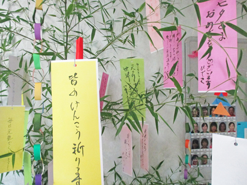 笹に願いを