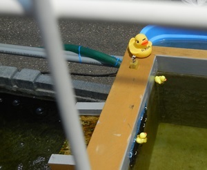 ブログも盆休み(2024/08/11)