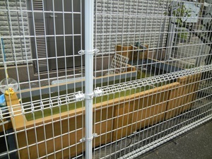 ブログも盆休み(2024/08/11)