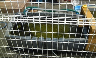 ブログも盆休み(2024/08/11)