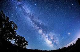 猛暑のおり皆さまいかがお過ごしでしょうか(2022/08/07)