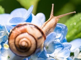 最近見なくなったもの(2021/07/04)