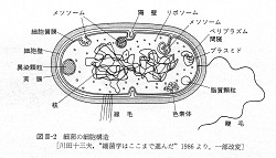 ういるす って何(2020/04/05)