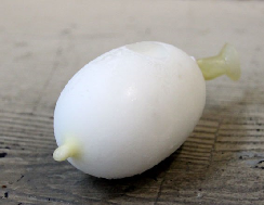 コロナは少しおいといて((2020/02/23)